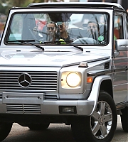 Filename=BHP011.jpg
Filesize=966KiB
Dimensions=3500x2333
Date added=20.11.23 BHP011.jpg