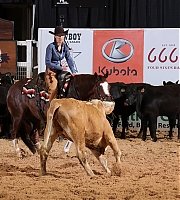 Filename=BHP026.jpg
Filesize=1477KiB
Dimensions=4000x2668
Date added=31.03.24 BHP026.jpg