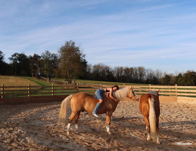 BHP001.jpg